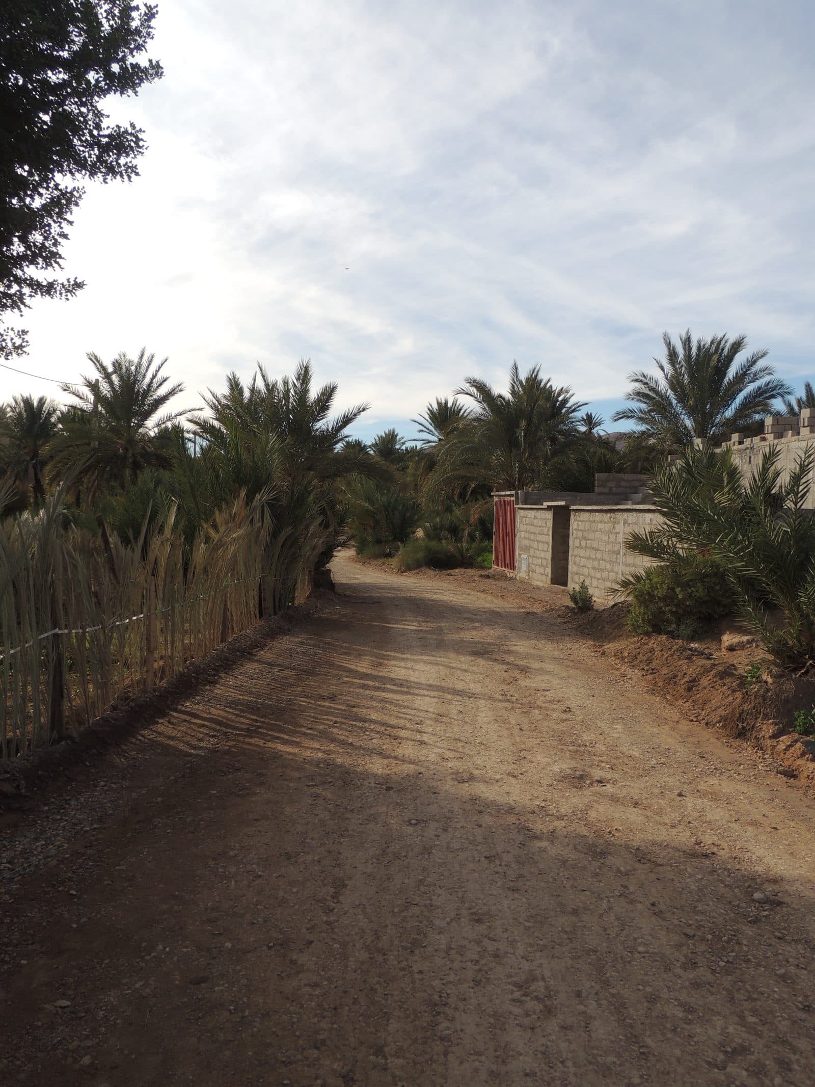 Tighremt — village et palmeraie 35