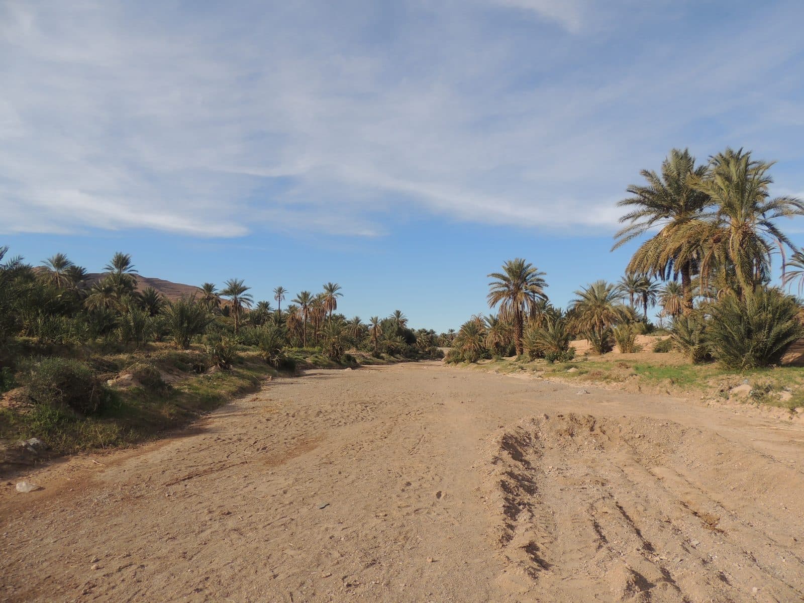 Tighremt — village et palmeraie 37