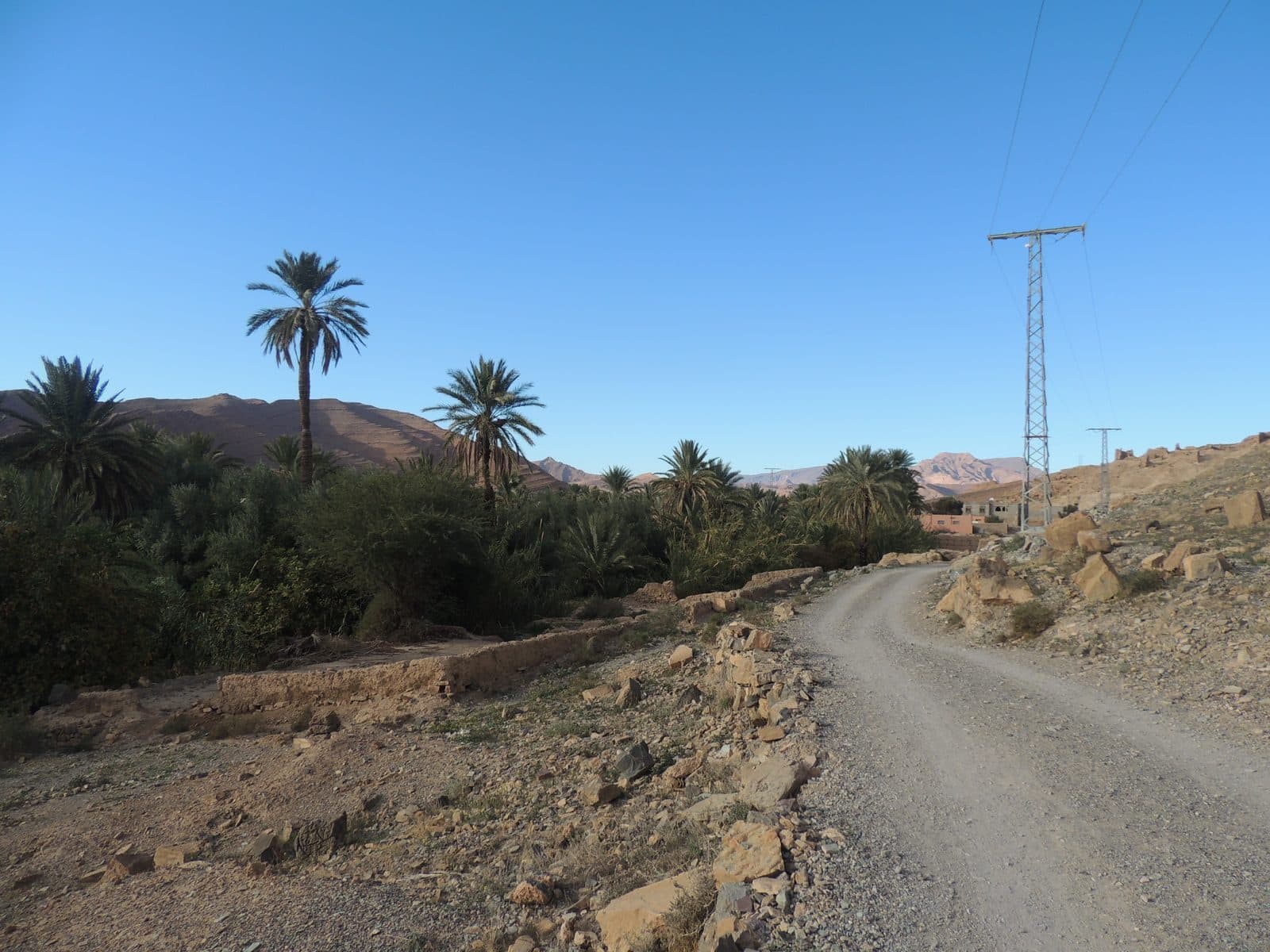 Tighremt — village et palmeraie 46