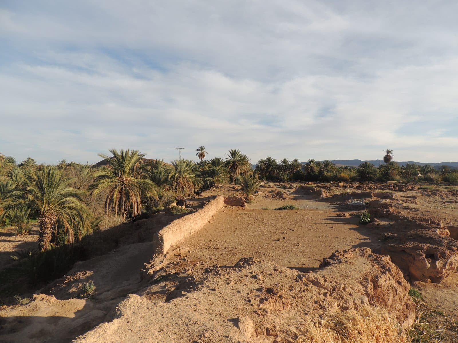 Tighremt — village et palmeraie 53
